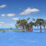 Best Time to Visit The Tanguar Haor – টাঙ্গুয়ার হাওর ভ্রমণের উপযুক্ত সময় কখন ?