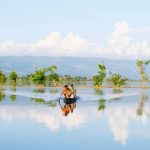 বসন্তের টাঙ্গুয়ার হাওর – নতুন প্রাণের জাগরণ